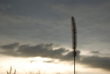 Similar image 329892