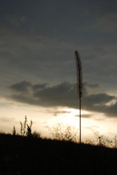 Similar image 329893