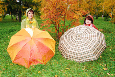 Similar image 329895