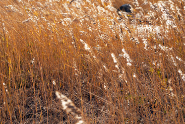 Similar image 329910