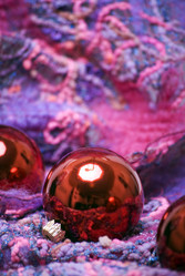 Similar image 329924