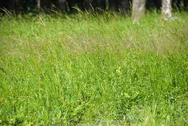 Similar image 329943