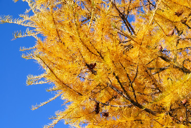 Similar image 329982