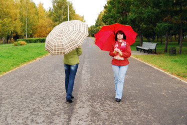 Similar image 329987