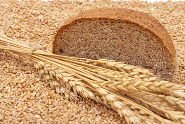 Similar image 330017