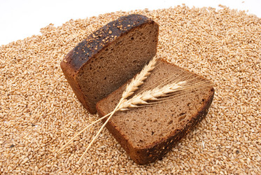 Similar image 330019