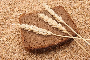 Similar image 330022