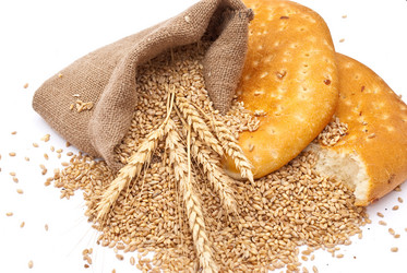 Similar image 330026