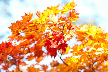 Similar image 330051