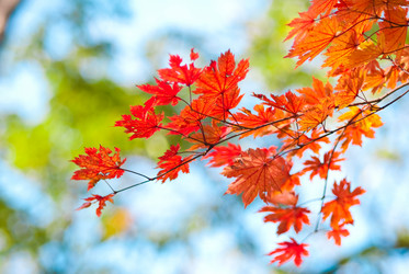 Similar image 330059