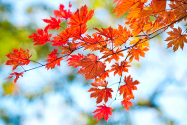 Similar image 330061