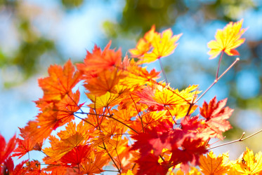 Similar image 330066