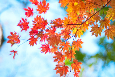 Similar image 330068