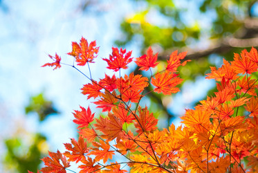 Similar image 330072