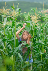 Similar image 330090