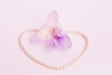 Similar image 330105