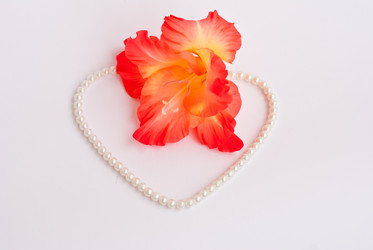 Similar image 330110