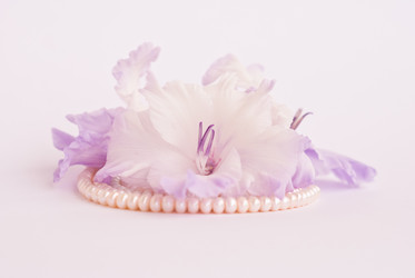 Similar image 330112