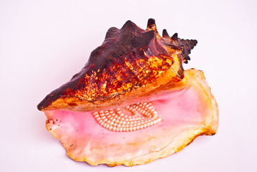 Similar image 330118