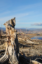 Similar image 330160