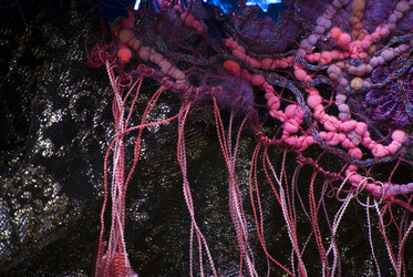 Similar image 330187