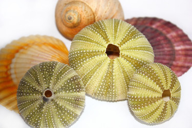 Similar image 330199