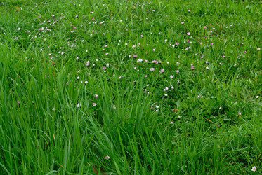 Similar image 330209