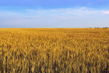 Similar image 330211