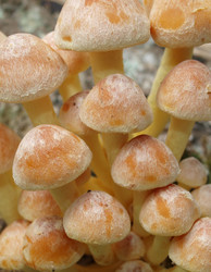 Similar image 330218