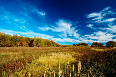 Similar image 330358