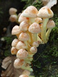 Similar image 330365