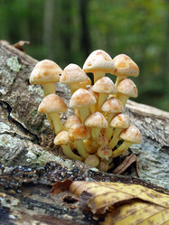 Similar image 330366