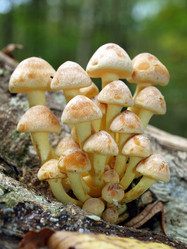 Similar image 330367