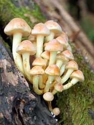 Similar image 330368