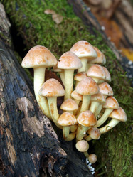 Similar image 330369