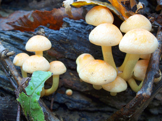 Similar image 330370