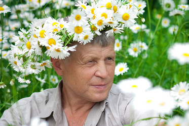 Similar image 330390