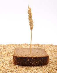 Similar image 330450