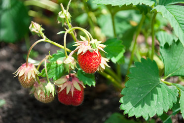 Similar image 330470