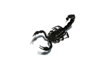 Similar image 330472