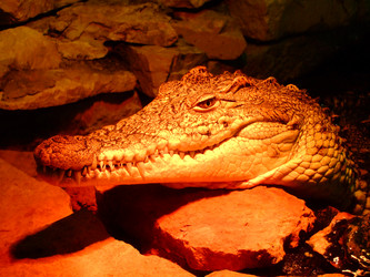 Similar image 330579