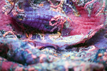 Similar image 330595