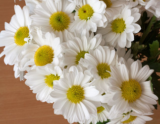 Similar image 330622