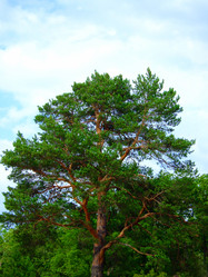 Similar image 330816