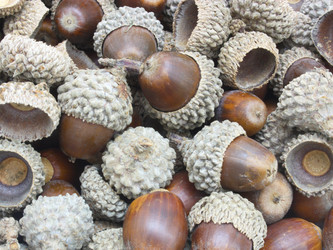 Similar image 330861