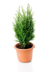 Similar image 330873