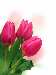 Similar image 330908