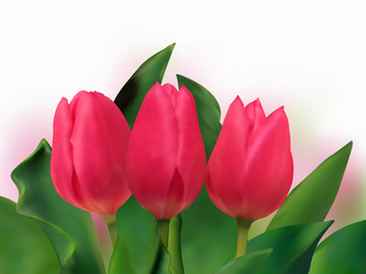 Similar image 330910