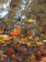 Similar image 330945