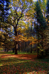 Similar image 330969